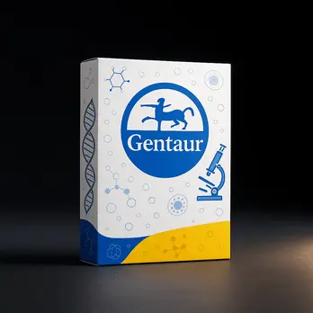 Gentaur L/B M 3-ZONE XS Temp CNSL1200